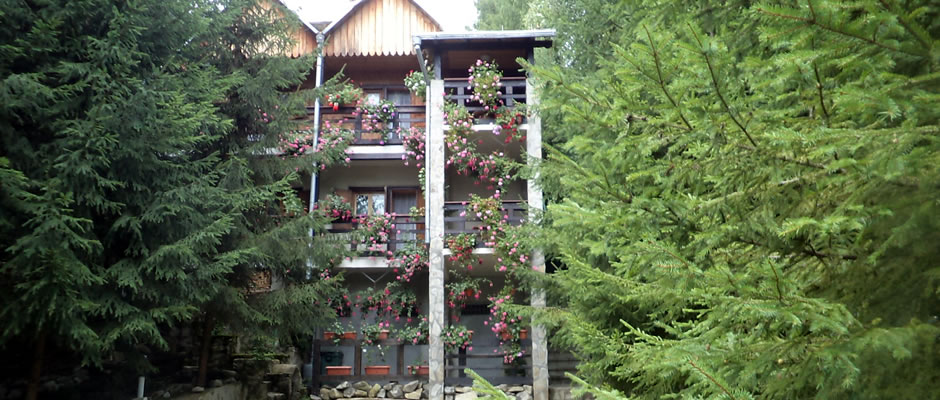 rezervare camera vila doina voronet bucovina