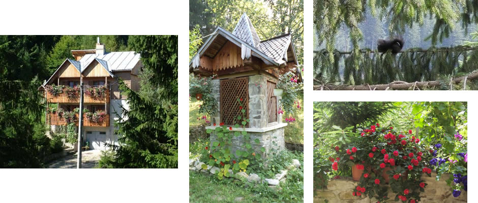 vila doina voronet bucovina